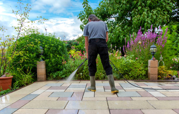Best Brick and Stone Cleaning in Sneads Ferry, NC